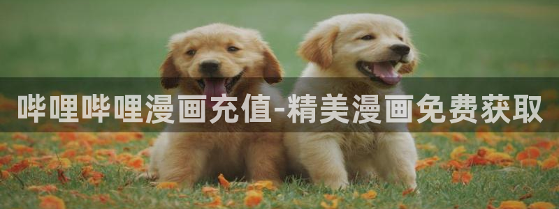 韩漫漫画在线看