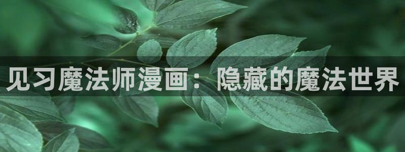 韩漫漫画破解版