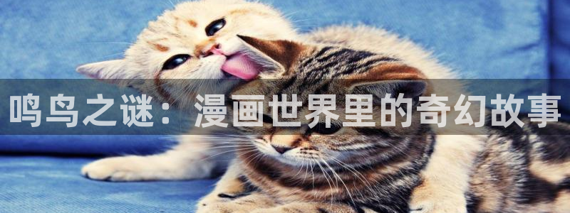 韩漫漫画屋：鸣鸟之谜：漫画世界里的奇幻故事